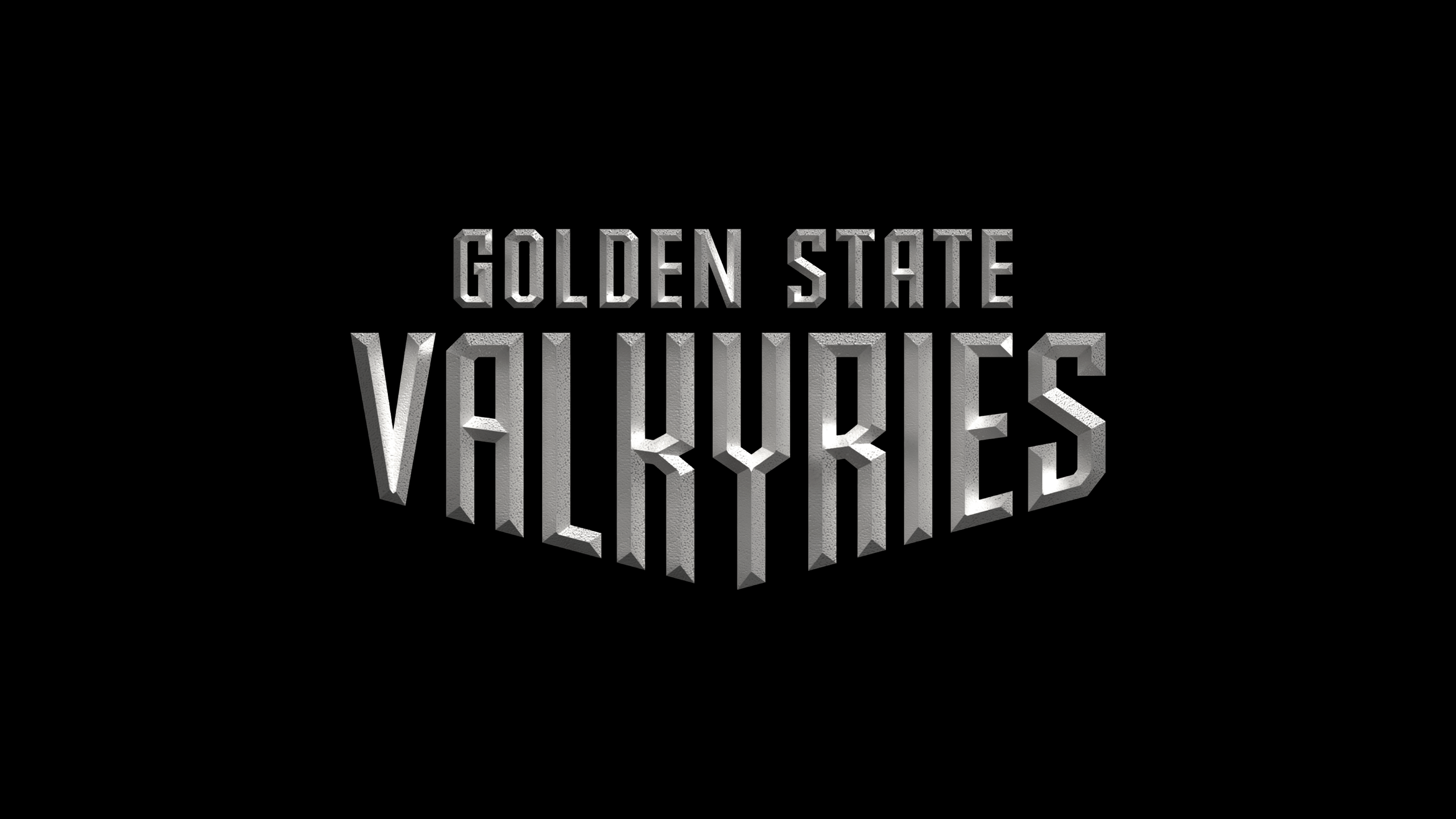 VALKYRIES Wordmark 3D black+stone